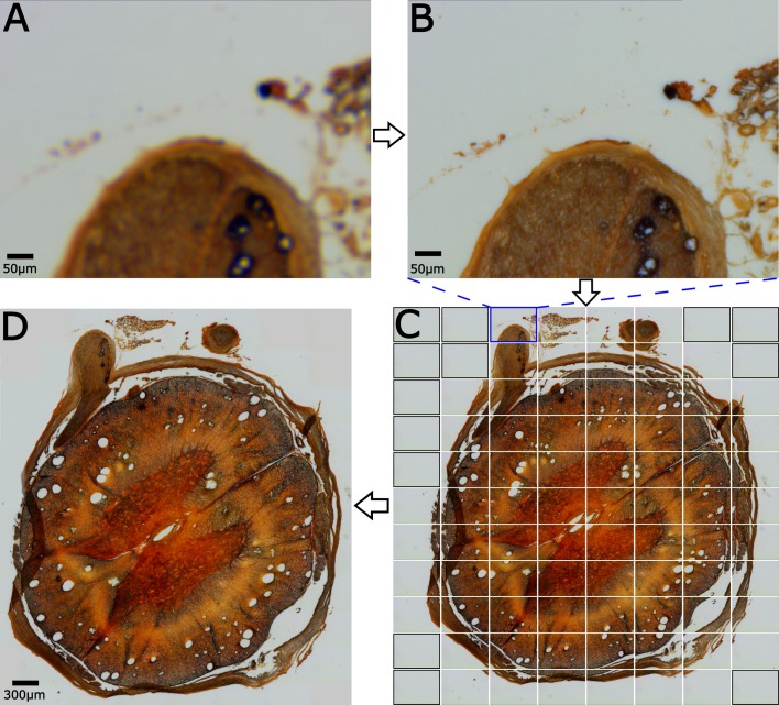 Fig 2