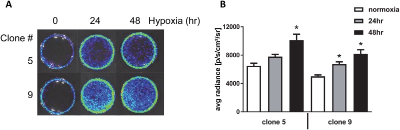 Fig 4