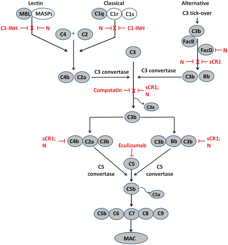 FIGURE 1.