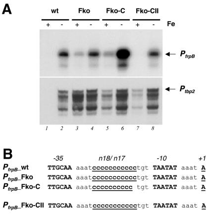 FIG. 5.