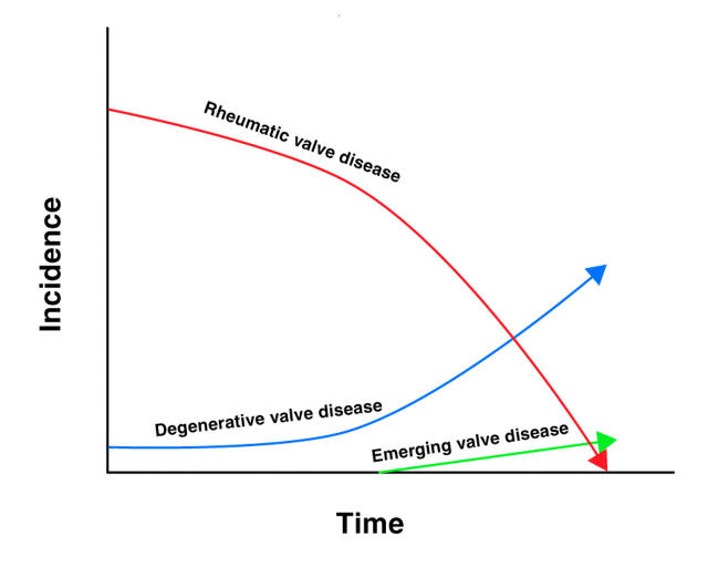 Figure 2:  