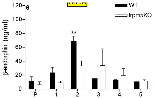 FIG. 5