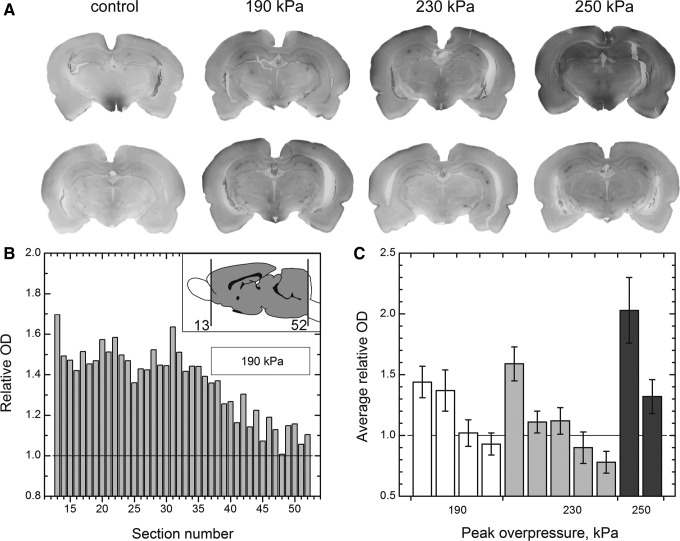 FIG. 7.