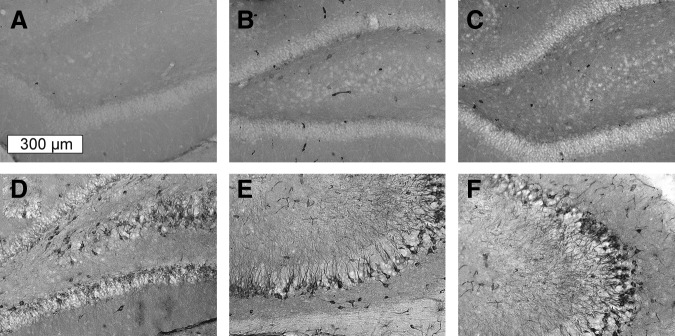 FIG. 9.