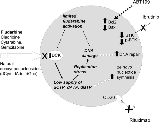 Fig 6