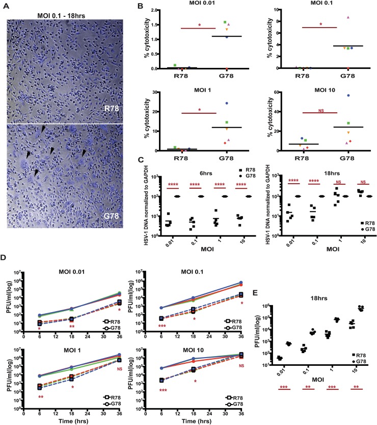 Fig 4