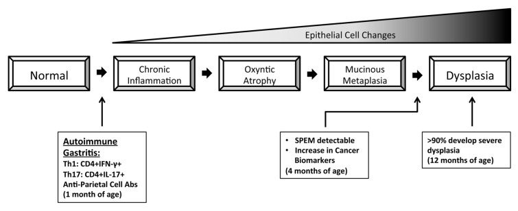 graphic file with name onci-2-e25911-g1.jpg