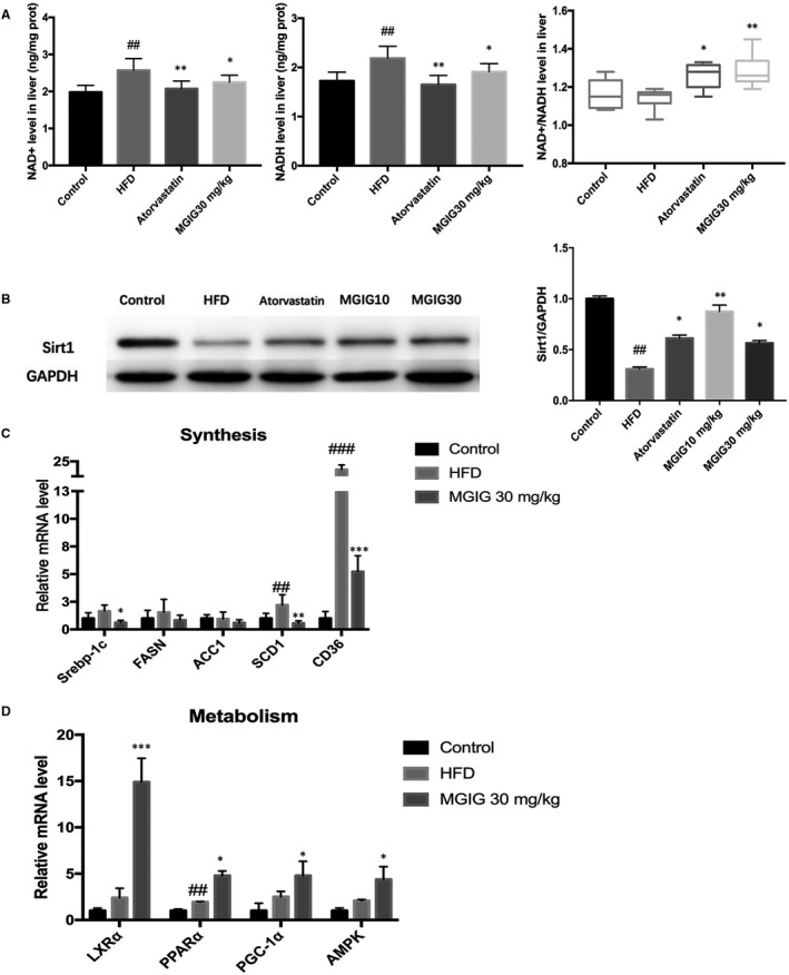 FIGURE 4