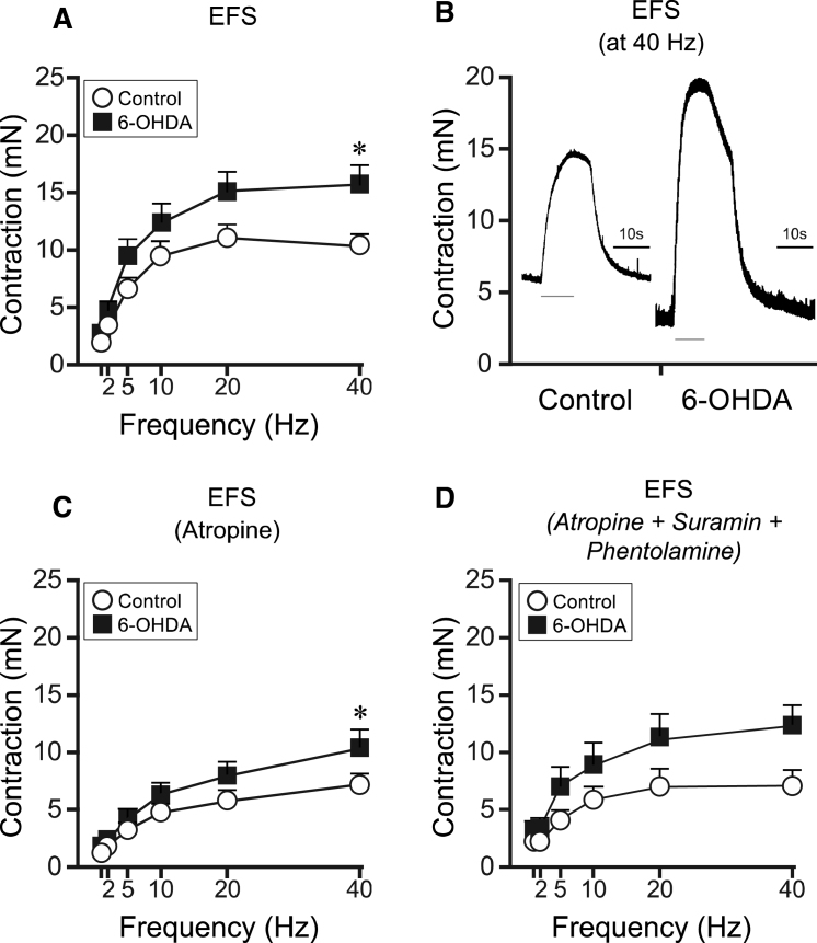 Fig.2