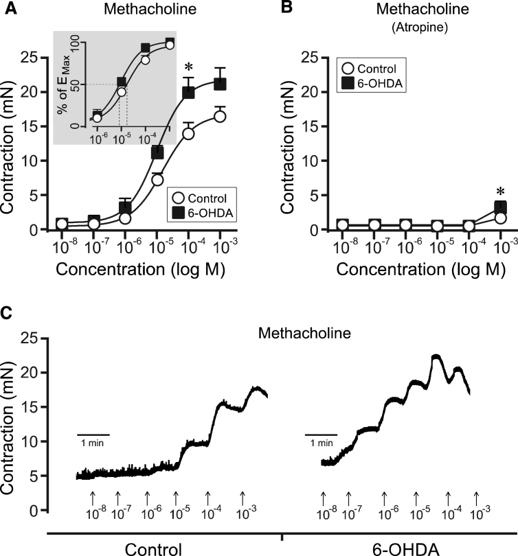 Fig.3