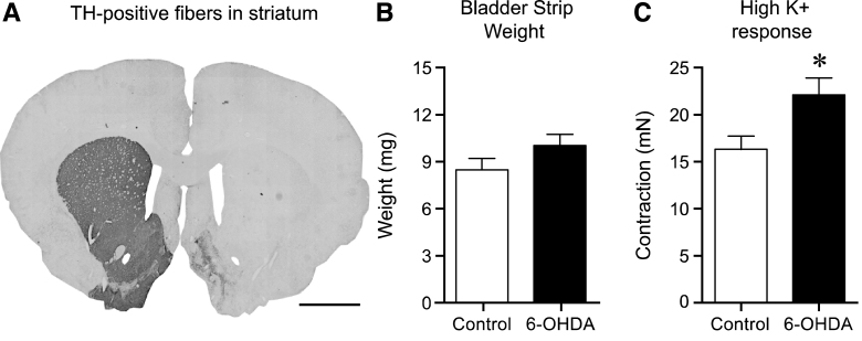 Fig.1