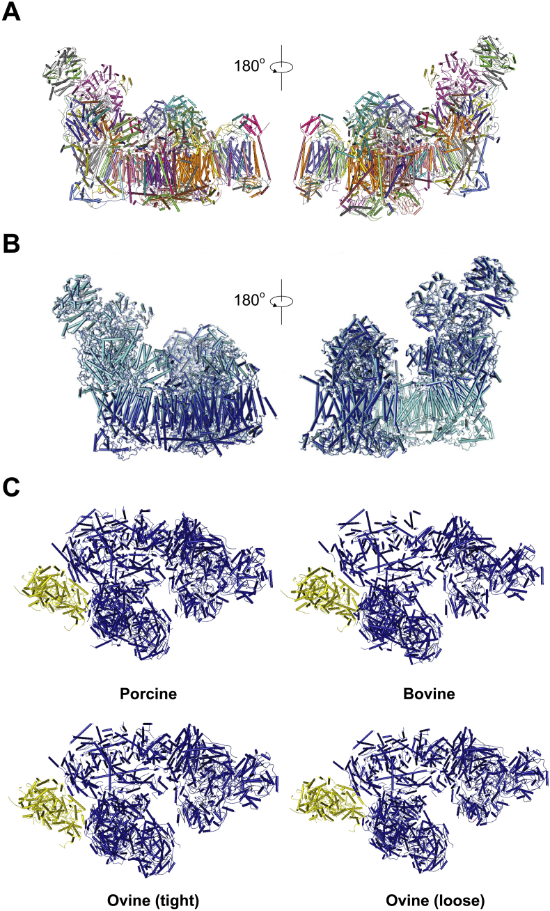 Fig. 1