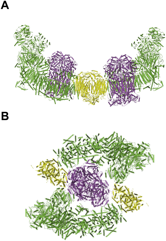 Fig. 3