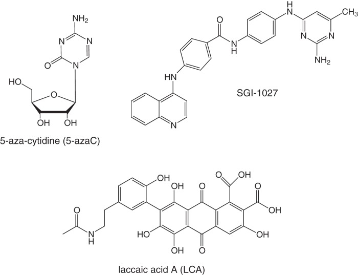 FIGURE 1.