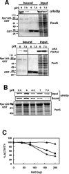 FIG. 7.