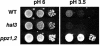 FIG. 9.