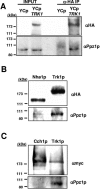 FIG. 5.