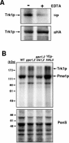 FIG. 6.