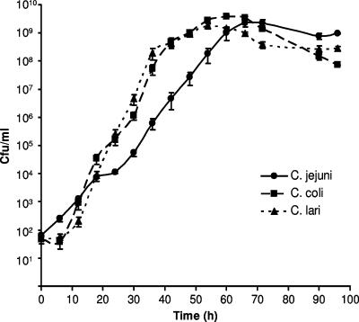 FIG. 2.