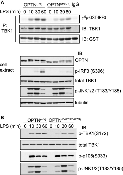 FIGURE 4.