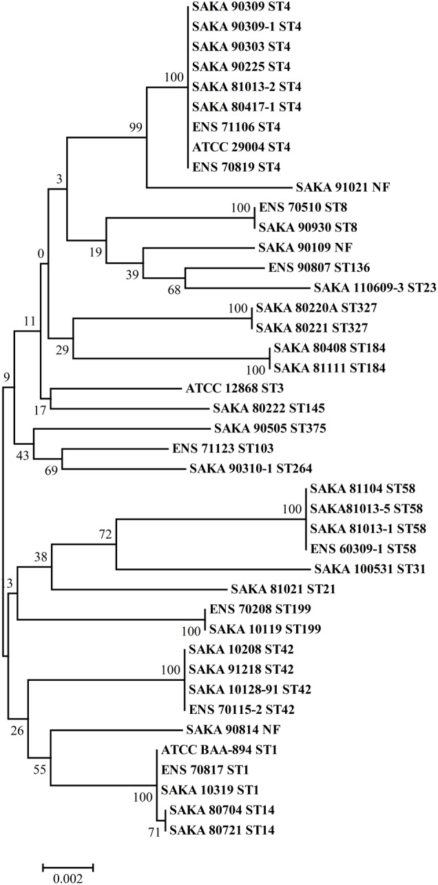 FIGURE 2