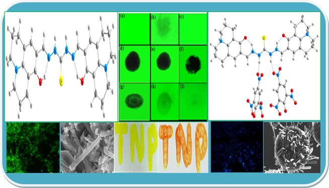 graphic file with name ao-2016-00288x_0001.jpg