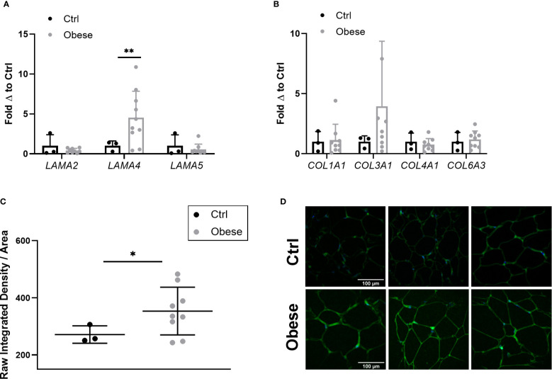 Figure 4