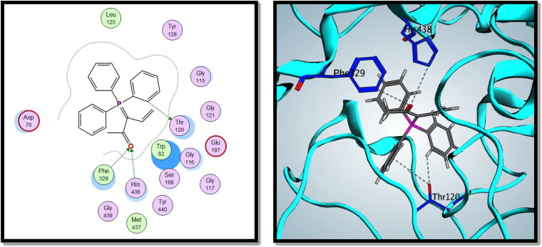 Figure 13.