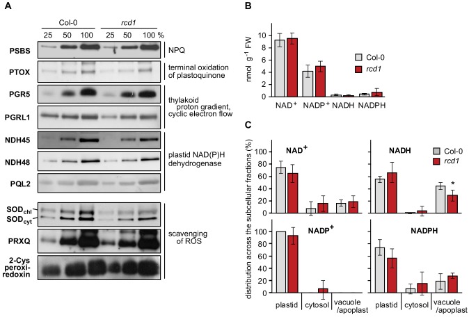 Figure 1—figure supplement 5.