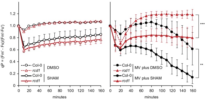 Figure 5—figure supplement 1.