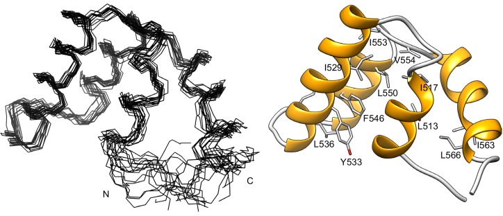 Figure 7—figure supplement 2.