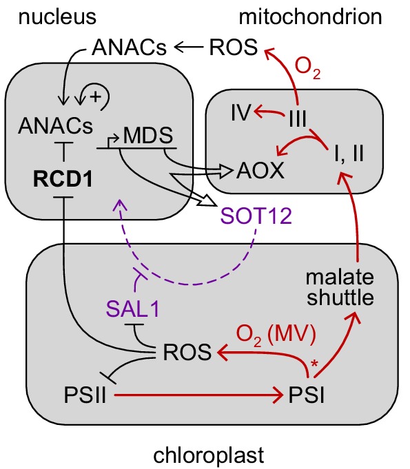 Figure 9.