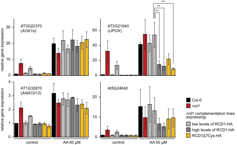 Figure 6—figure supplement 2.