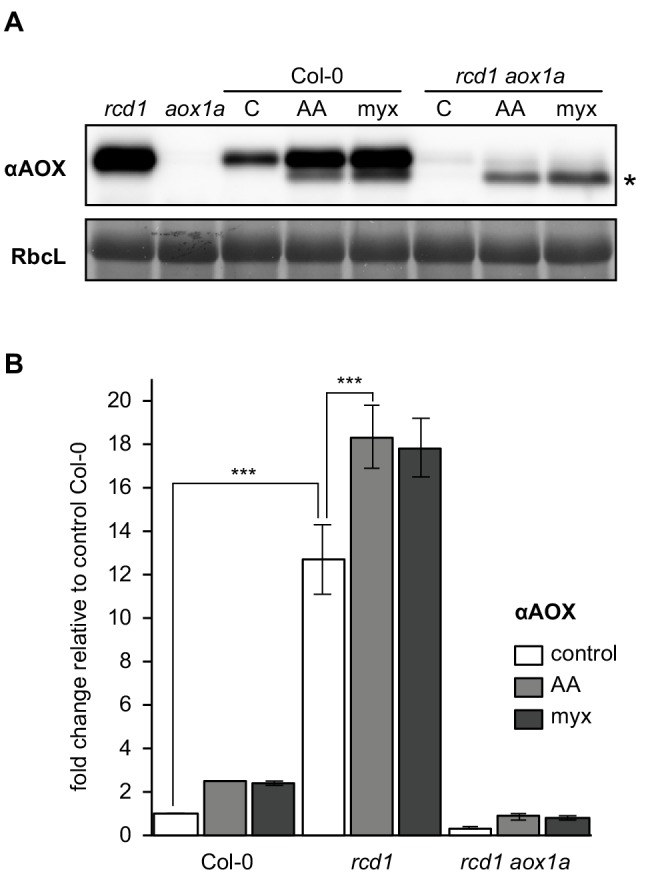 Figure 4—figure supplement 1.