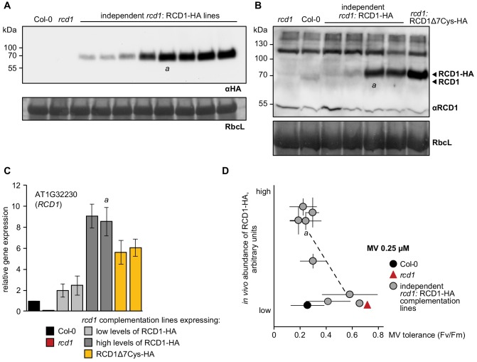 Figure 1—figure supplement 1.