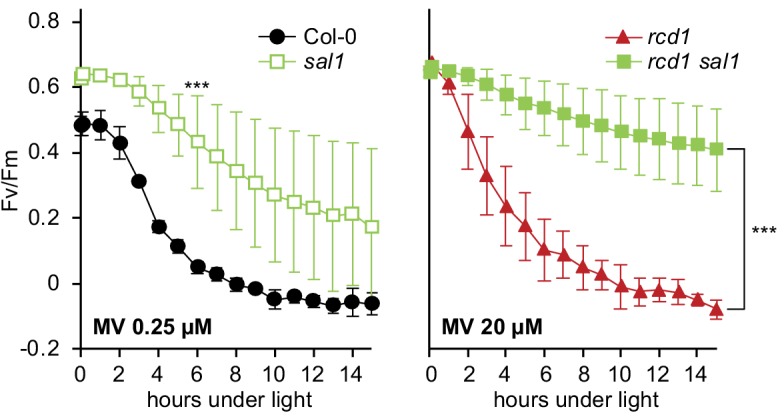 Figure 6—figure supplement 3.