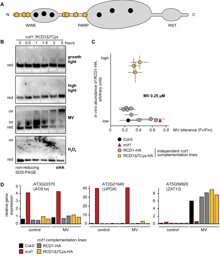 Figure 2—figure supplement 1.