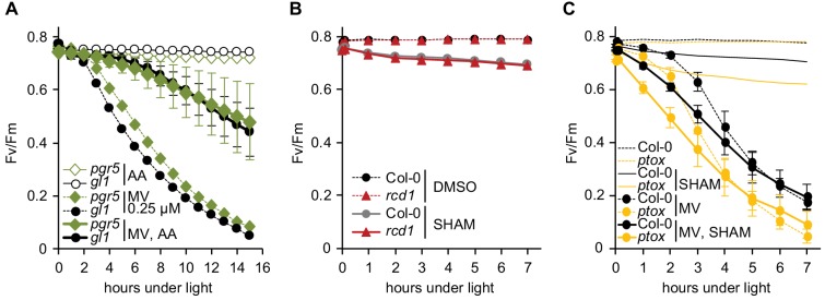 Figure 4—figure supplement 3.