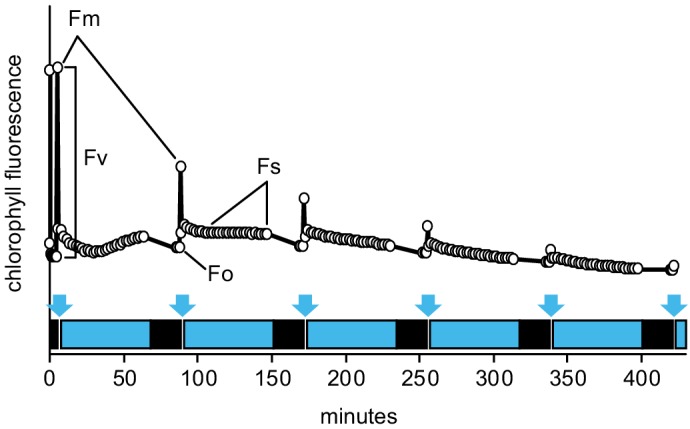 Figure 1—figure supplement 2.