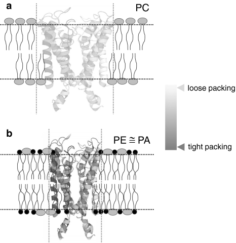 Fig. 5