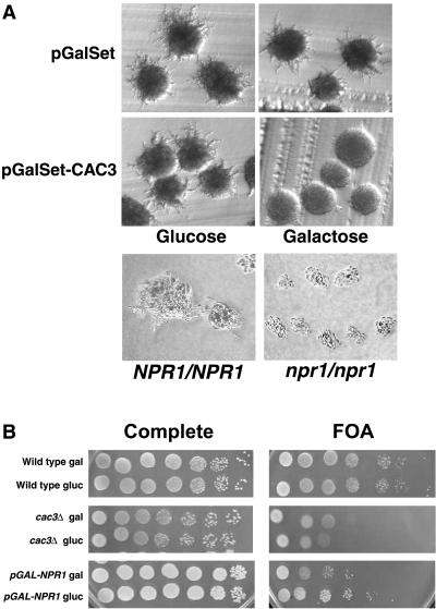 FIG. 5