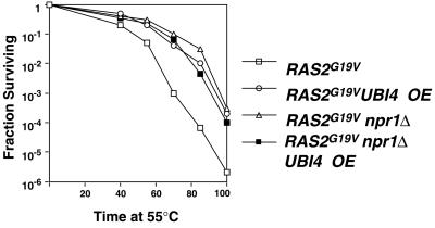 FIG. 7