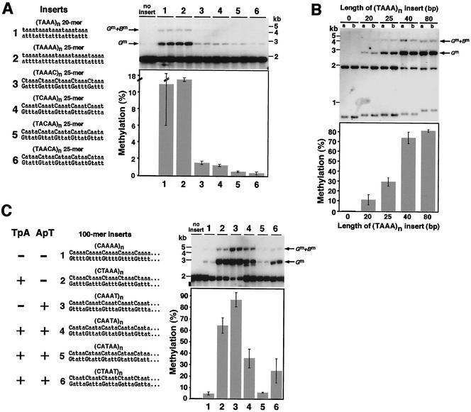 FIG.3.