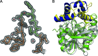 FIG. 2.