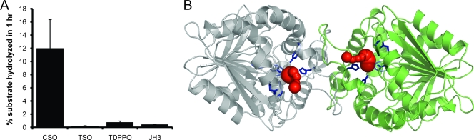 FIG. 5.