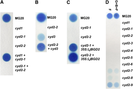 Figure 4.