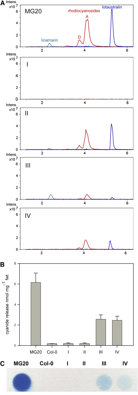 Figure 3.