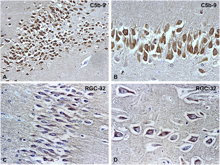 Figure 5.