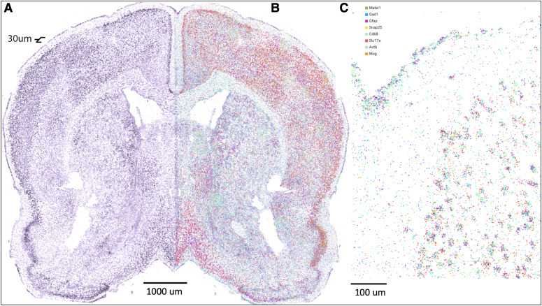 FIGURE 3.