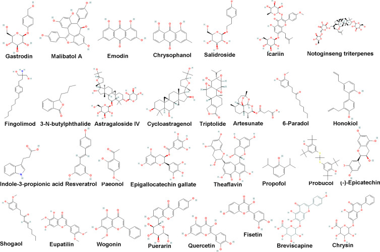 Figure 2